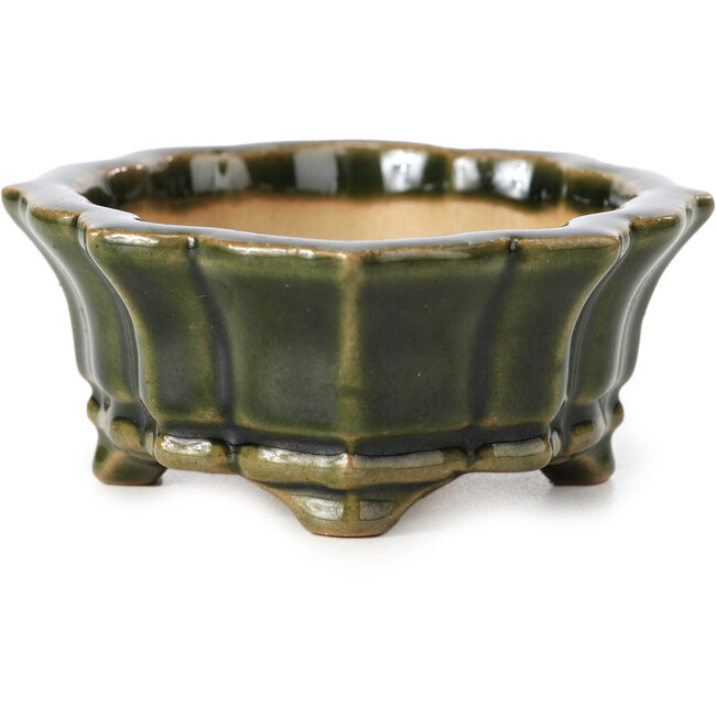 Maceta de bonsái verde Mokko de Shozan - 107 x 90 x 39 mm