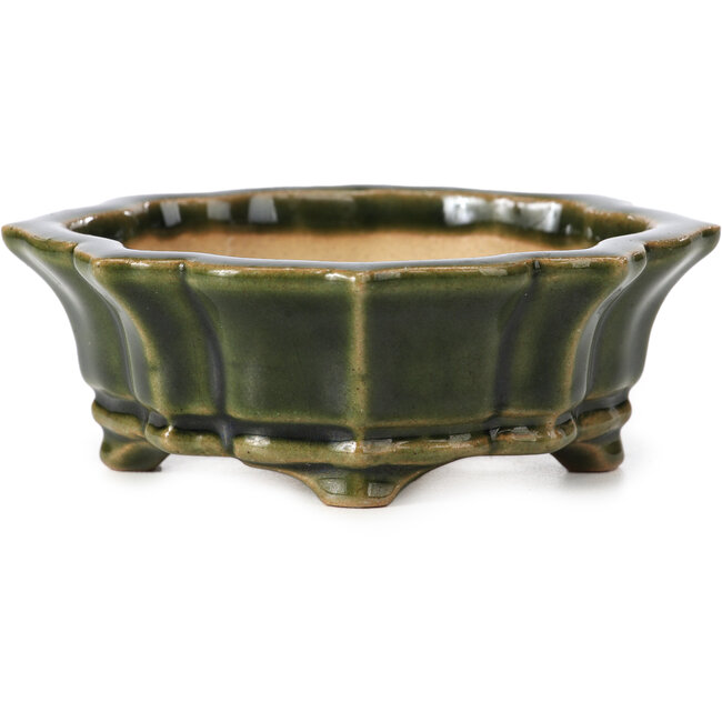 Vaso per bonsai Mokko verde di Shozan - 107 x 90 x 39 mm