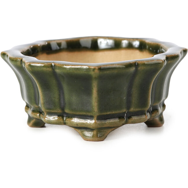 Mokko groene bonsaipot van Shozan - 107 x 90 x 39 mm