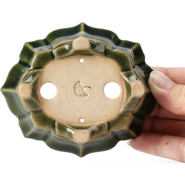 Pot à bonsaï Mokko vert par Shozan - 107 x 90 x 39 mm