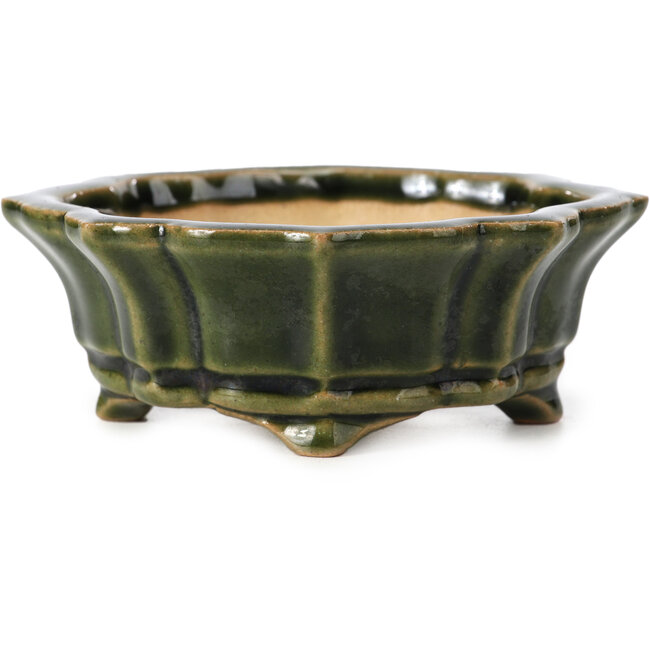 Mokko green bonsai pot by Shozan - 107 x 90 x 39 mm