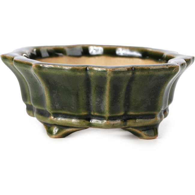 Pot à bonsaï Mokko vert par Shozan - 107 x 90 x 39 mm