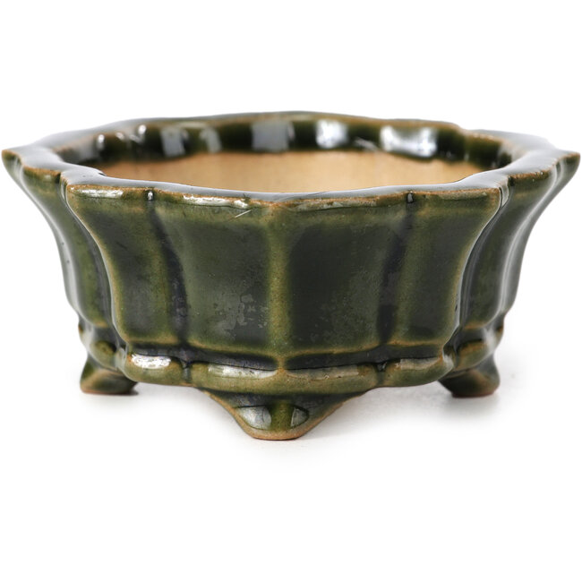 Maceta de bonsái verde Mokko de Shozan - 107 x 90 x 39 mm