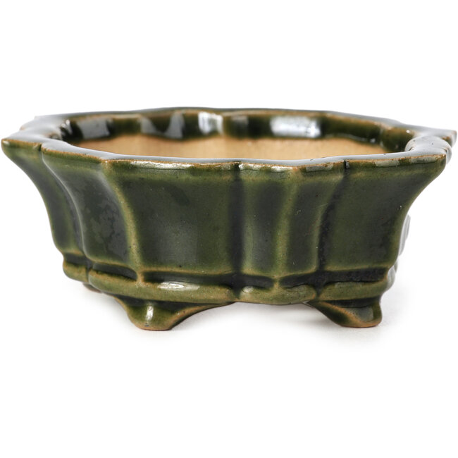 Maceta de bonsái verde Mokko de Shozan - 107 x 90 x 39 mm