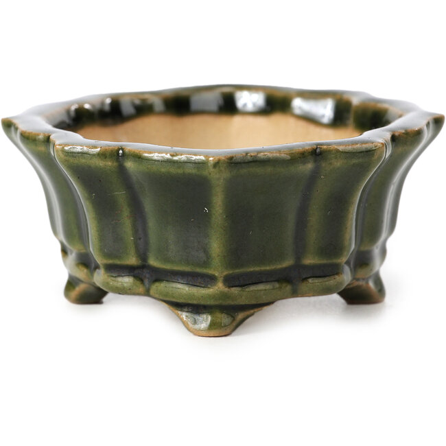 Vaso per bonsai Mokko verde di Shozan - 107 x 90 x 39 mm