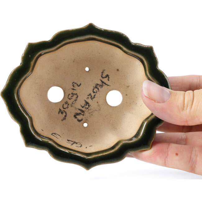 Maceta de bonsái verde Mokko de Shozan - 107 x 90 x 39 mm