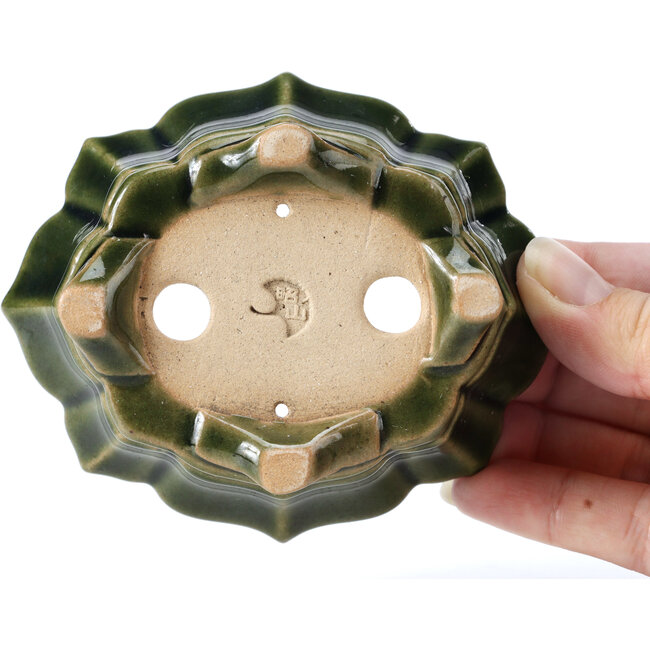 Pot à bonsaï Mokko vert par Shozan - 107 x 90 x 39 mm