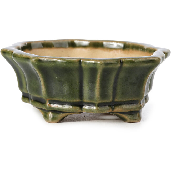 Maceta de bonsái verde Mokko de Shozan - 107 x 90 x 39 mm