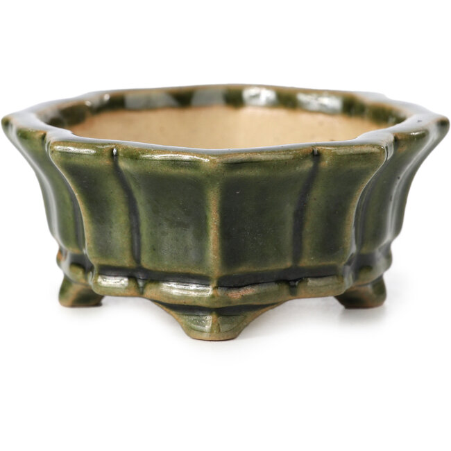 Pot à bonsaï Mokko vert par Shozan - 107 x 90 x 39 mm