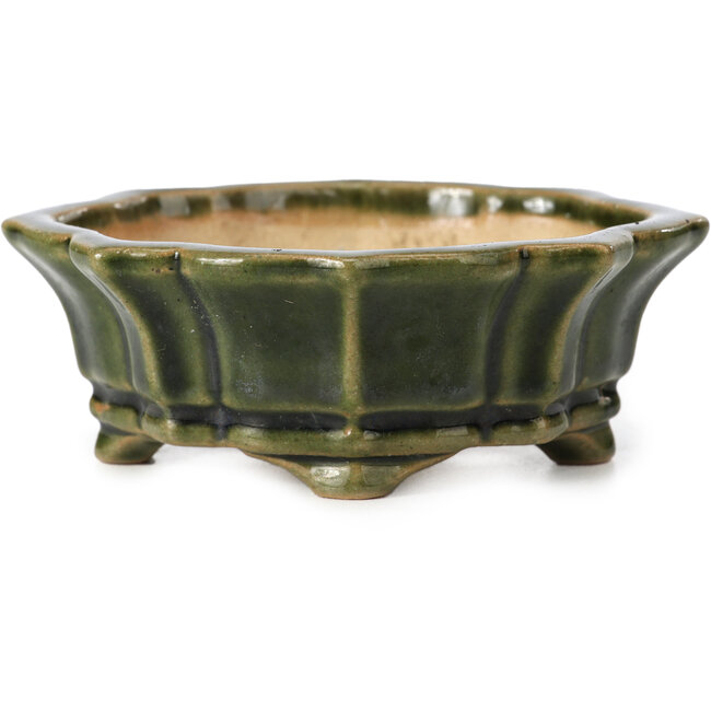 Mokko green bonsai pot by Shozan - 107 x 90 x 39 mm