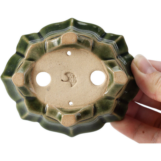 Vaso per bonsai Mokko verde di Shozan - 107 x 90 x 39 mm