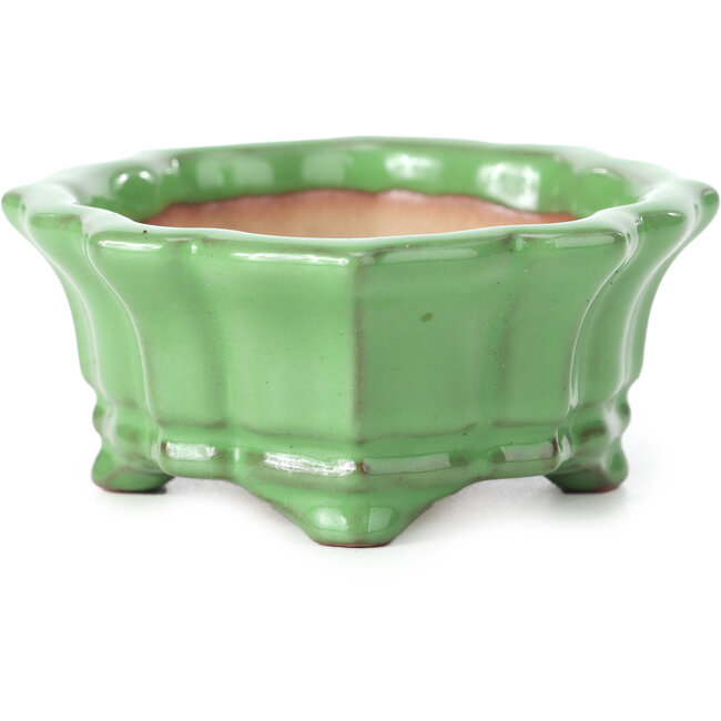 Mokko green bonsai pot by Shozan - 107 x 90 x 39 mm