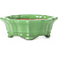 Mokko green bonsai pot by Shozan - 107 x 90 x 39 mm