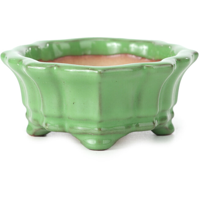 Pot à bonsaï Mokko vert par Shozan - 107 x 90 x 39 mm