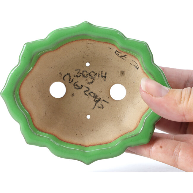 Pot à bonsaï Mokko vert par Shozan - 107 x 90 x 39 mm