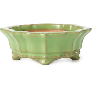 Shouzan  (Akira/Masami Watanabe) Pot à bonsaï vert mokko 107 mm par Shozan, Japon