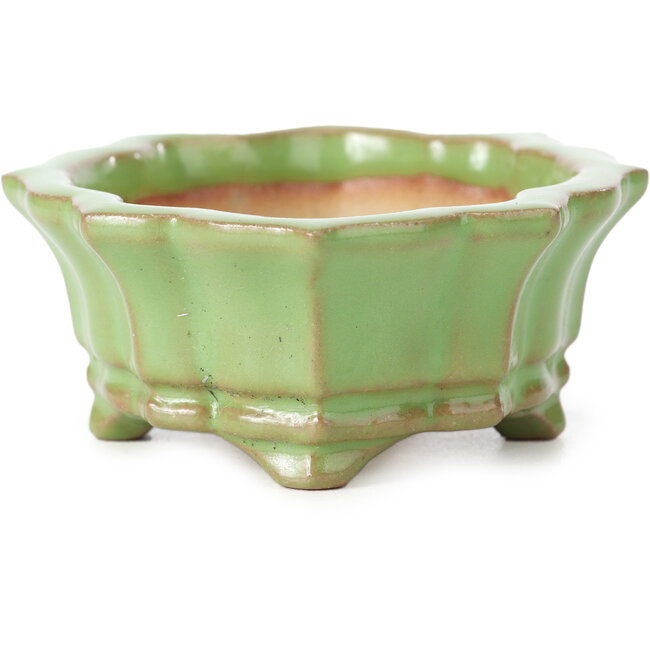 Maceta de bonsái verde Mokko de Shozan - 107 x 90 x 39 mm