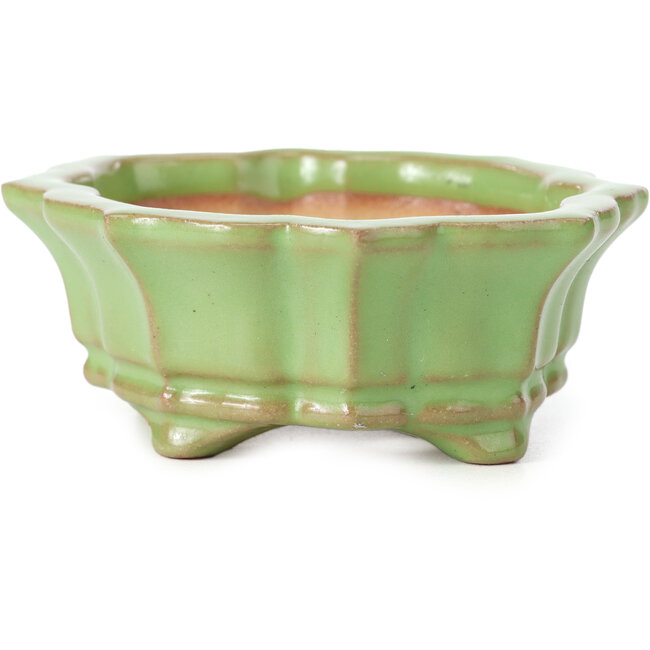 Maceta de bonsái verde Mokko de Shozan - 107 x 90 x 39 mm