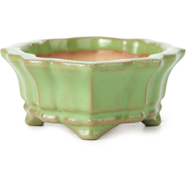 Pot à bonsaï Mokko vert par Shozan - 107 x 90 x 39 mm