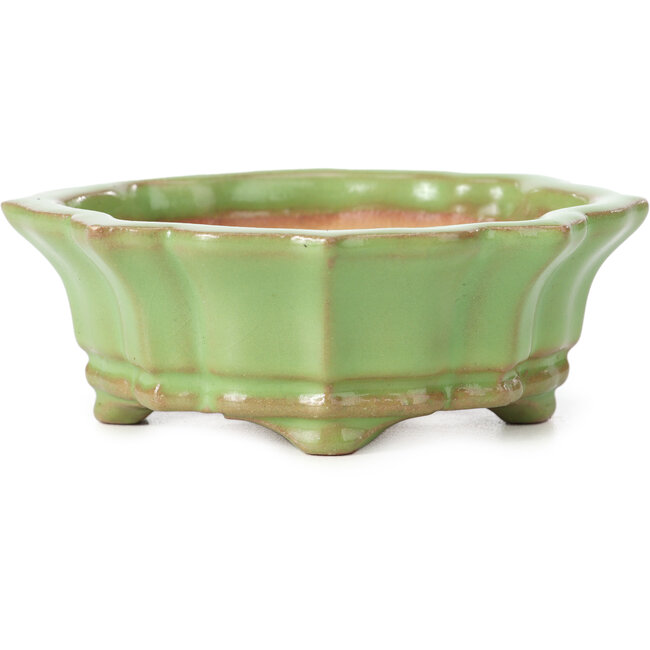 Vaso per bonsai Mokko verde di Shozan - 107 x 90 x 39 mm