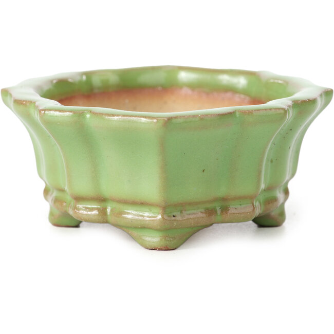 Mokko green bonsai pot by Shozan - 107 x 90 x 39 mm