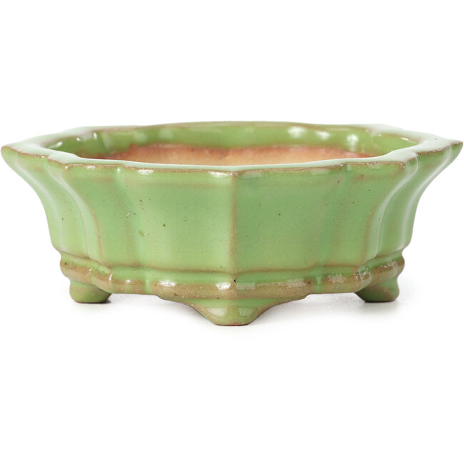 Mokko green bonsai pot by Shozan - 107 x 90 x 39 mm