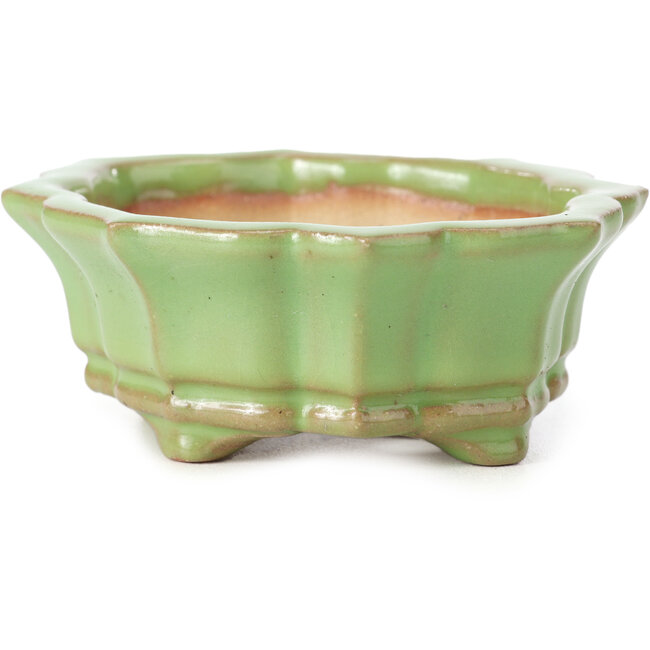 Vaso per bonsai Mokko verde di Shozan - 107 x 90 x 39 mm