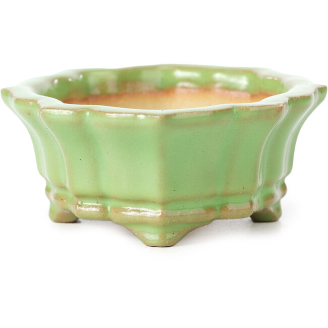 Mokko green bonsai pot by Shozan - 107 x 90 x 39 mm