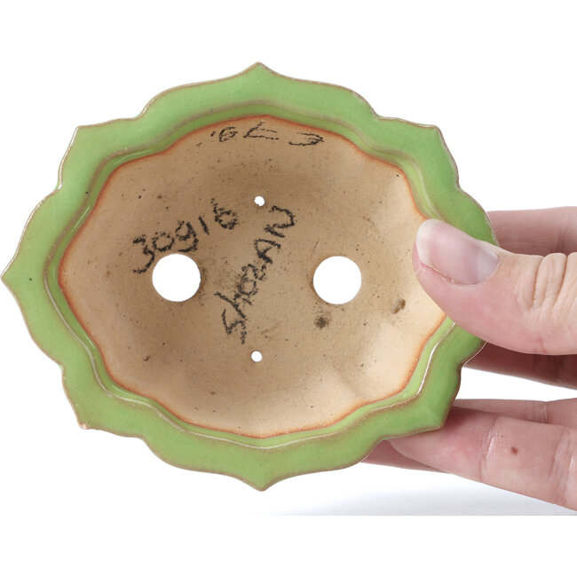 Vaso per bonsai Mokko verde di Shozan - 107 x 90 x 39 mm