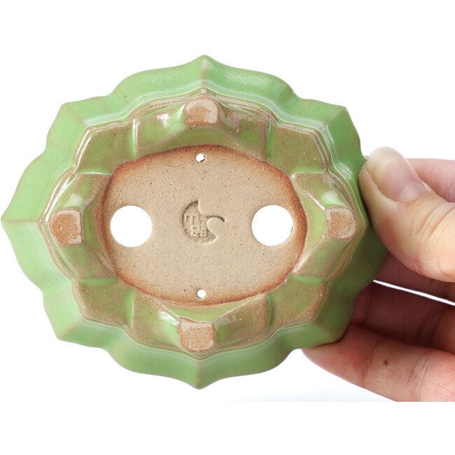 Maceta de bonsái verde Mokko de Shozan - 107 x 90 x 39 mm