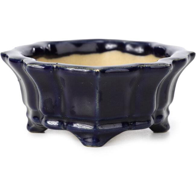 Maceta de bonsái azul Mokko de Shozan - 107 x 90 x 39 mm