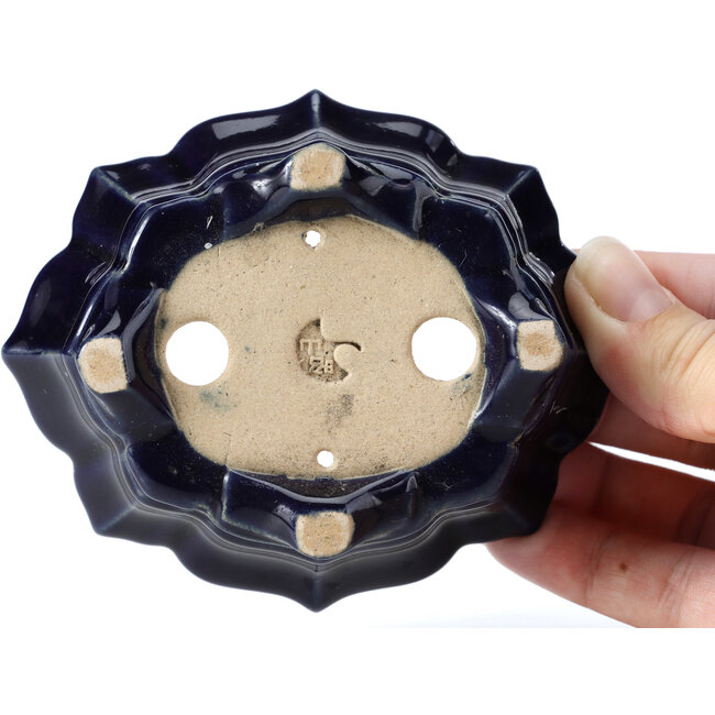 Vaso per bonsai blu Mokko di Shozan - 107 x 90 x 39 mm