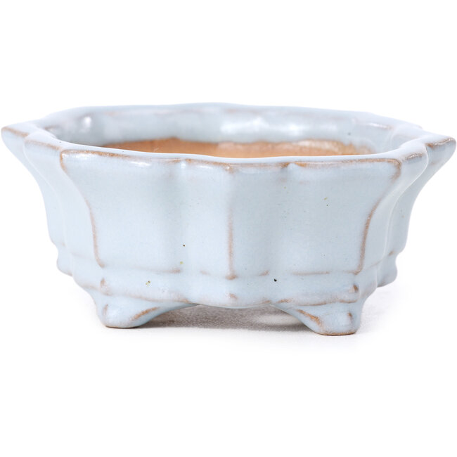 Vaso per bonsai blu Mokko di Shozan - 107 x 90 x 39 mm