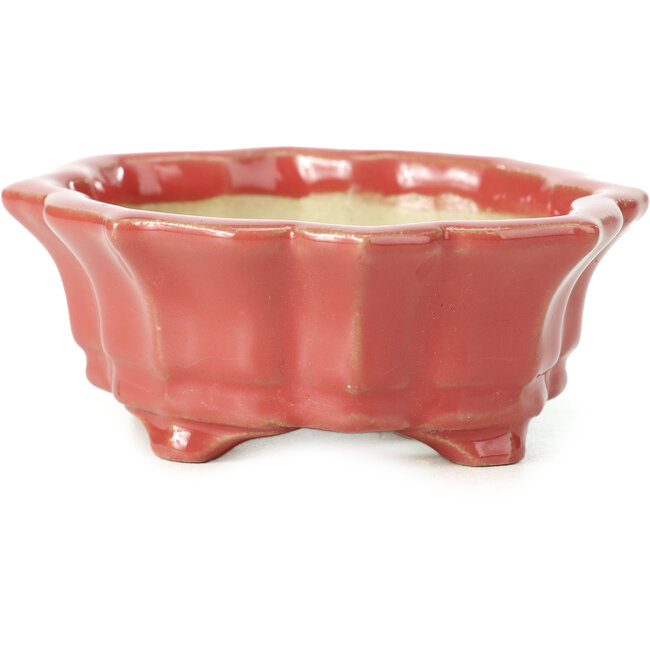 Vaso per bonsai rosso Mokko di Shozan - 107 x 90 x 39 mm