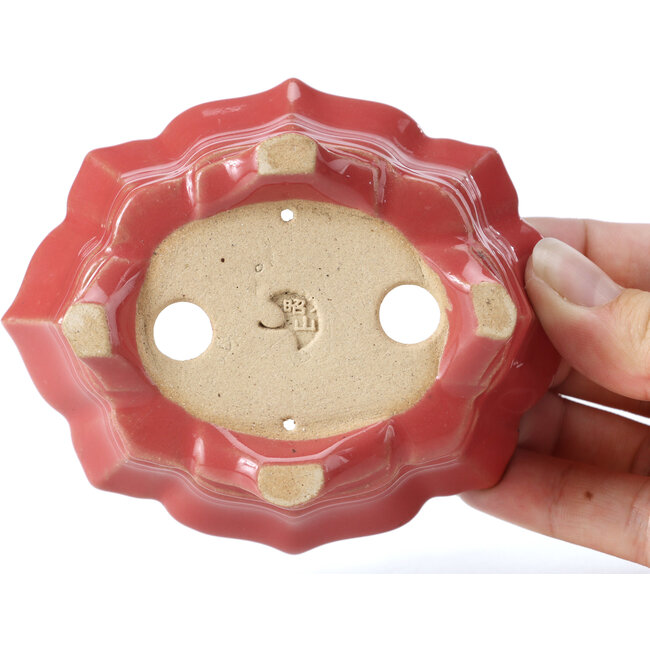 Vaso per bonsai rosso Mokko di Shozan - 107 x 90 x 39 mm