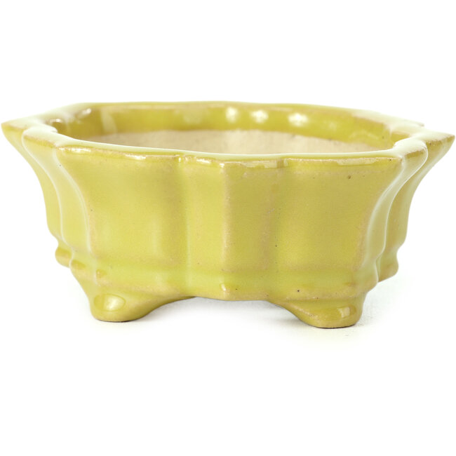 Mokko gele bonsaipot van Shozan - 107 x 90 x 39 mm