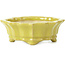 Mokko yellow bonsai pot by Shozan - 107 x 90 x 39 mm