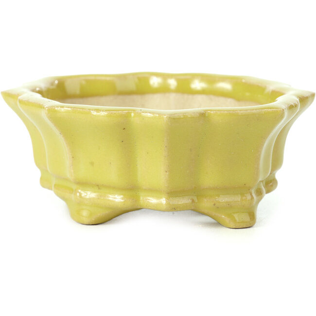 Maceta de bonsái amarilla Mokko de Shozan - 107 x 90 x 39 mm