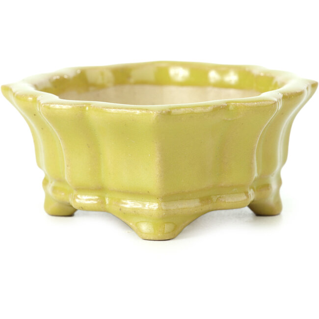 Pot à bonsaï Mokko jaune par Shozan - 107 x 90 x 39 mm