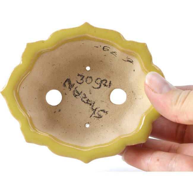 Maceta de bonsái amarilla Mokko de Shozan - 107 x 90 x 39 mm