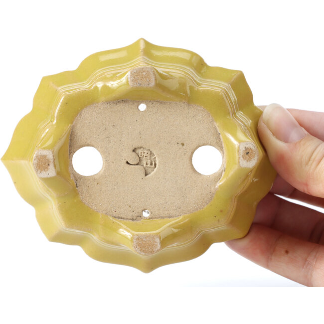 Pot à bonsaï Mokko jaune par Shozan - 107 x 90 x 39 mm