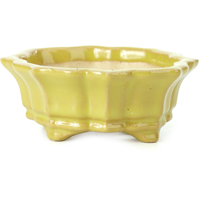 Pot à bonsaï Mokko jaune par Shozan - 107 x 90 x 39 mm