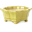 Mokko yellow bonsai pot by Shozan - 107 x 90 x 39 mm