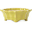 Mokko yellow bonsai pot by Shozan - 107 x 90 x 39 mm