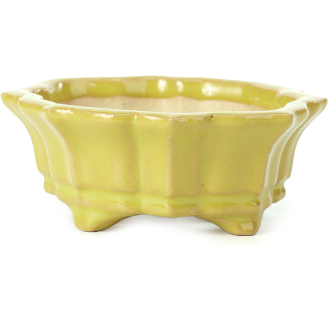 Maceta de bonsái amarilla Mokko de Shozan - 107 x 90 x 39 mm