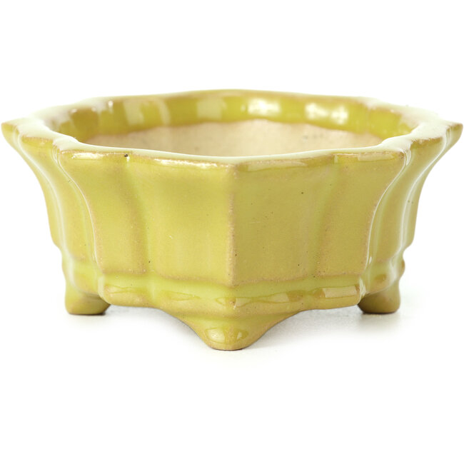 Pot à bonsaï Mokko jaune par Shozan - 107 x 90 x 39 mm