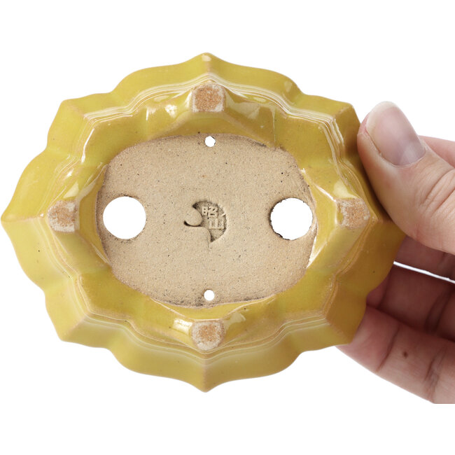 Pot à bonsaï Mokko jaune par Shozan - 107 x 90 x 39 mm