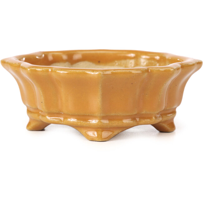 Mokko oranje bonsai pot van Shozan - 87 x 70 x 30 mm