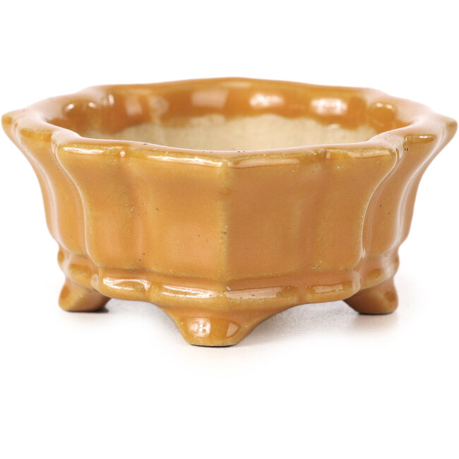 Mokko-Orangen-Bonsaischale von Shozan - 87 x 70 x 30 mm