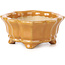 Mokko orange bonsai pot by Shozan - 87 x 70 x 30 mm